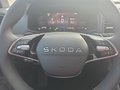 Daumennagel 23 - Skoda Karoq 1,5TSI DSG aAHK/ACC/Kamera/Winterp.       **