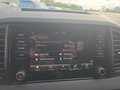 Daumennagel 29 - Skoda Karoq 1,5TSI DSG aAHK/ACC/Kamera/Winterp.       **