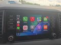 Daumennagel 34 - Skoda Karoq 1,5TSI DSG aAHK/ACC/Kamera/Winterp.       **