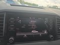 Daumennagel 38 - Skoda Karoq 1,5TSI DSG aAHK/ACC/Kamera/Winterp.       **