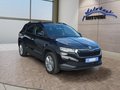 Daumennagel 7 - Skoda Karoq 1,5TSI DSG aAHK/ACC/Kamera/Winterp.       **