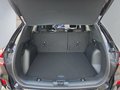 Daumennagel 17 - Ford Kuga ST-Line 1,5 186PS Aut.5*J.Gar/LED/Navi/Winterp.