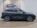 Daumennagel 7 - Ford Kuga ST-Line 1,5 186PS Aut.5*J.Gar/LED/Navi/Winterp.