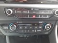 Daumennagel 22 - Kia Niro 1.6 Hybrid Spirit Navi/Xenon/T-Leder/WP/Temp.