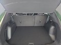 Daumennagel 16 - Ford Kuga ST-Line 2,5 FHEV 180PS 5*J.Gar/LED/Navi/Winterp.   **