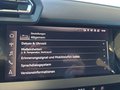 Daumennagel 41 - Audi A3 Sportback 35TFSI 4*J.Gar/LED/ACC/Keyless/el.Klappe/Sitzhz. **