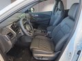Daumennagel 9 - Nissan Qashqai Tekna+ 1,3 DIG-T Xtronic UPE=48500 Euro **