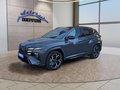 Daumennagel 1 - Hyundai TUCSON 1,6T HEV 4WD N Line X UPE=56000 Euro!        **