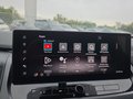 Daumennagel 30 - Nissan Qashqai Tekna+ 1.5 VC-T e-POWER UPE=51000 Euro  **