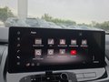 Daumennagel 31 - Nissan Qashqai Tekna+ 1.5 VC-T e-POWER UPE=51000 Euro  **