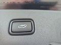 Daumennagel 19 - Hyundai TUCSON 1,6T HEV 4WD N Line X UPE=56000 Euro!        **