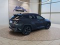 Daumennagel 5 - Hyundai TUCSON 1,6T HEV N Line UPE=52000 Euro!        **