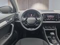 Daumennagel 12 - Skoda Karoq 1,5TSI DSG 18*Alu/aAHK/ACC/Kamera/Winterp.       **
