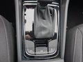 Daumennagel 25 - Skoda Karoq 1,5TSI DSG 18*Alu/aAHK/ACC/Kamera/Winterp.       **