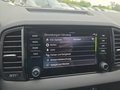 Daumennagel 38 - Skoda Karoq 1,5TSI DSG 18*Alu/aAHK/ACC/Kamera/Winterp.       **
