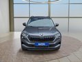Daumennagel 8 - Skoda Karoq 1,5TSI DSG 18*Alu/aAHK/ACC/Kamera/Winterp.       **