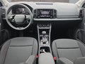 Daumennagel 10 - Skoda Karoq 1,5TSI DSG 18*Alu/aAHK/ACC/Kamera/Winterp.       **