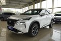 Daumennagel 3 - Nissan X-Trail Tekna+ 1.5 VC-T e-POWER e-4ORCE UPE=59000 Euro   **
