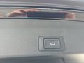 Daumennagel 18 - CUPRA Terramar 1.5 eTSI DSG ACC/Kessy/el.Klappe/Winterp. **