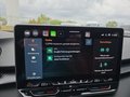 Daumennagel 39 - CUPRA Terramar 1.5 eTSI DSG ACC/Kessy/el.Klappe/Winterp. **
