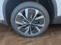 Daumennagel 15 - Skoda Karoq 1,5TSI DSG 18*Alu/aAHK/ACC/Kamera/Winterp. **