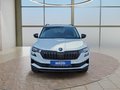 Daumennagel 8 - Skoda Karoq 1,5TSI DSG 18*Alu/aAHK/ACC/Kamera/Winterp. **
