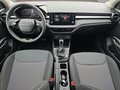 Daumennagel 10 - Skoda Fabia 1,0TSI DSG 2-Z.Klimaaut/Winterp/Temp/LED/Pdc   **