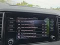 Daumennagel 39 - Skoda Karoq Sportline 1,5TSI DSG aAHK/ACC/Matrix/Navi/el.Klappe   **