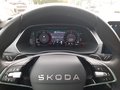 Daumennagel 18 - Skoda Octavia Combi 2,0TDI DSG Navi/ACC/Kamera/Winterp. **