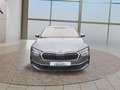Daumennagel 8 - Skoda Octavia Combi 2,0TDI DSG Navi/ACC/Kamera/Winterp. **