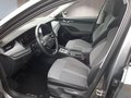Daumennagel 9 - Skoda Octavia Combi 2,0TDI DSG Navi/ACC/Kamera/Winterp. **
