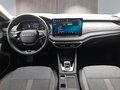 Daumennagel 10 - Skoda Octavia Combi 2,0TDI DSG Navi/ACC/Kamera/Winterp. **