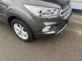 Daumennagel 6 - Ford Kuga Titanium - Wenig Kilometer - Easy Driver P. - AHK - Navi Carplay - Winter P. - Top