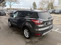 Daumennagel 5 - Ford Kuga Titanium - Wenig Kilometer - Easy Driver P. - AHK - Navi Carplay - Winter P. - Top