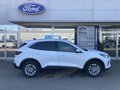 Daumennagel 3 - Ford Kuga Plug-In Hybrid Titanium -243 PS - SYNC 4 -Navi-Kamera-Top