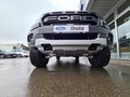 Daumennagel 19 - Ford Ranger Raptor 4x4 DK-AHK-Navi-Kamera - Standheizung-Top