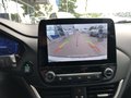 Daumennagel 12 - Ford Puma ST-Line X - Panodach - Elektr.Heckklappe - Voll