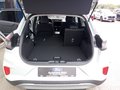Daumennagel 6 - Ford Puma Titanium - Fahrerassistenz Paket- Winter P.