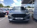 Daumennagel 2 - Ford Kuga Plug-In Hybrid ST-Line X Panodach/ AHK/VOLL