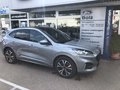 Daumennagel 3 - Ford Kuga Plug-In Hybrid ST-Line X Panodach/ AHK/VOLL