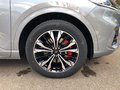 Daumennagel 7 - Ford Kuga Plug-In Hybrid ST-Line X Panodach/ AHK/VOLL
