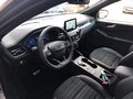 Daumennagel 11 - Ford Kuga Plug-In Hybrid ST-Line X Panodach/ AHK/VOLL