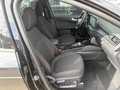 Daumennagel 9 - Ford Kuga ST-Line - FHEV Automatik - LED - AHK - NAVI - KAMERA - WINTER P. - TOP
