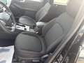 Daumennagel 10 - Ford Kuga ST-Line - FHEV Automatik - LED - AHK - NAVI - KAMERA - WINTER P. - TOP
