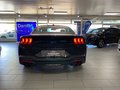 Daumennagel 9 - Ford Mustang Fastback 5.0 Ti-VCT V8 446 PS GT - 10 Gang Auto. - Nite Pony Styling-Paket
