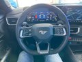 Daumennagel 19 - Ford Mustang Fastback 5.0 Ti-VCT V8 446 PS GT - 10 Gang Auto. - Nite Pony Styling-Paket