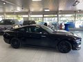 Daumennagel 5 - Ford Mustang Fastback 5.0 Ti-VCT V8 446 PS GT - 10 Gang Auto. - Nite Pony Styling-Paket