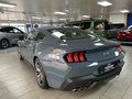 Daumennagel 4 - Ford Mustang Fastback 5.0 Ti-VCT V8 - GT 10 Gang Automatik - Sofort Verfügbar