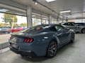 Daumennagel 3 - Ford Mustang Fastback 5.0 Ti-VCT V8 - GT 10 Gang Automatik - Sofort Verfügbar