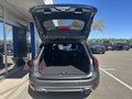 Daumennagel 6 - Ford Focus Turnier ST-Line X - Fahrer Assist.P. - Winter P. - 18 Zoll - Top